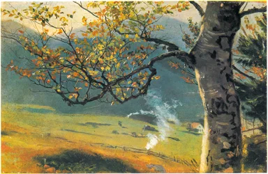 Tree in Autumn Before Meadow Valley